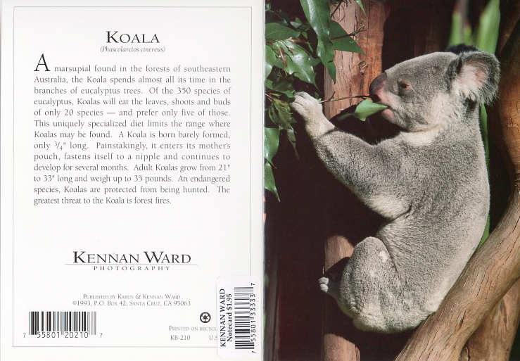 210 Koala