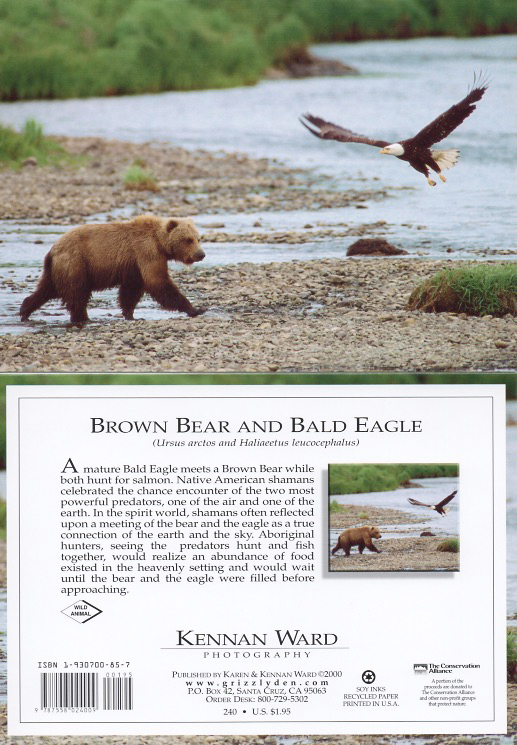 240 Bear Eagle