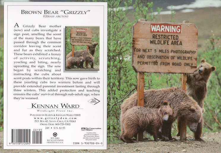 249 Bears Warning Sign Denali