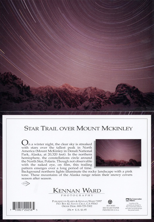 256 Star Trails