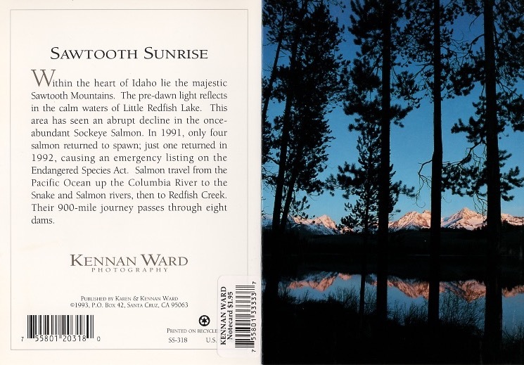 318 Sawtooth Sunrise