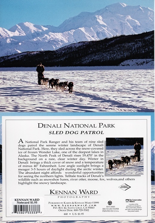 440 Denali Sled Dog
