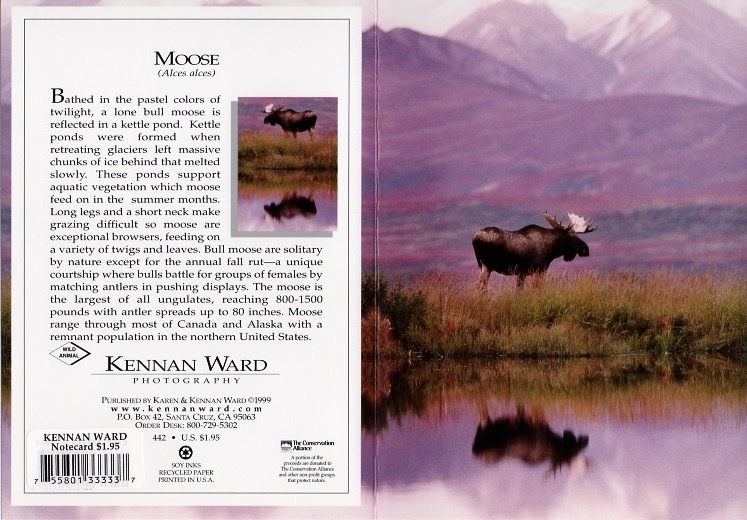 442 Moose