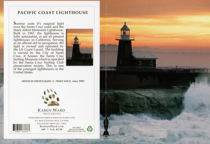 449 Santa Cruz Lighthouse