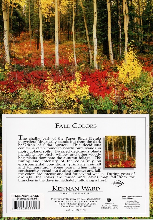 452 Fall Colors