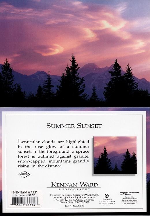 453 Summer Sunset