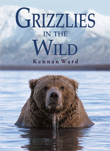 57702 Grizzlies Web Book Print