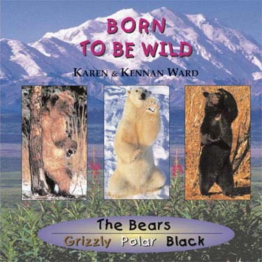 5785 Born To Be Wild The Bears